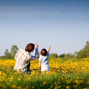 Father and son standing in a field of dandelions pointing up the cloudless blue sky
